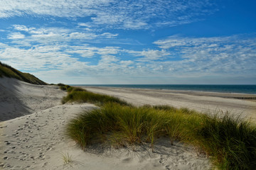 Strand renesse
