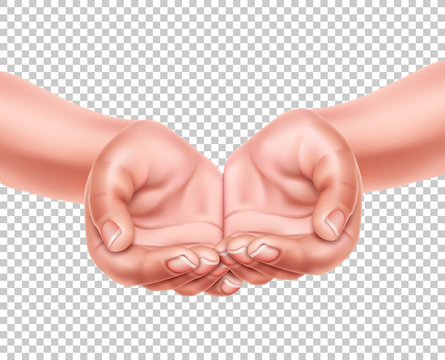 Realistic Empty Hands Cupped Together Vector 3d