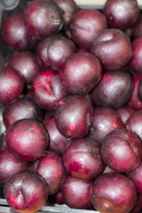 fruits
