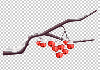 Vector rowan red berry with snow merry christmas