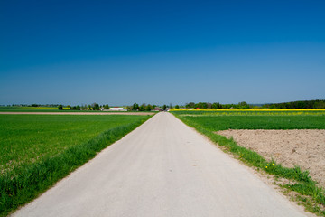 country road in the field