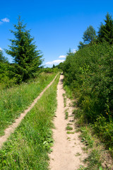 dirt road track in Pieniny mountains