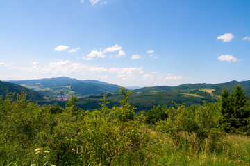 Fototapeta na wymiar Landscape of Pieniny mountains