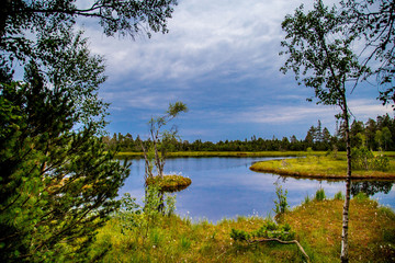 Wildsee im Hochmoor 