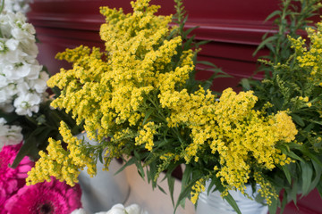 Fototapeta premium Yellow Spring Flowers background