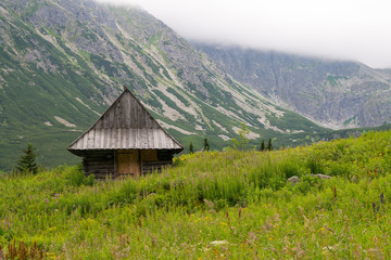 Fototapeta na wymiar Hala Gąsiennicowa valley in Tatra mountains