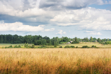 Field under a blue sky with clouds