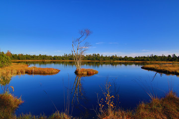 Wildsee im Hochmoor 