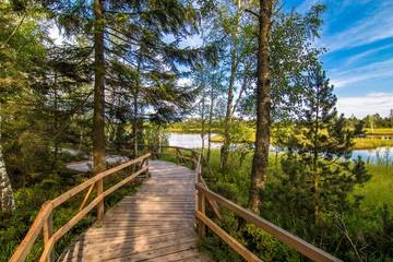 Holzsteg im Hochmoor