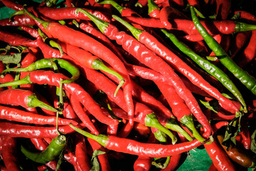 Légume 