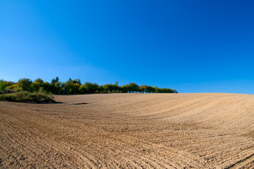 Obraz premium plowed field and blue sky