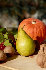 Autumn harvest. Green ripe and juicy pear with orange pumpkin in the open air. Thanksgiving Day.
