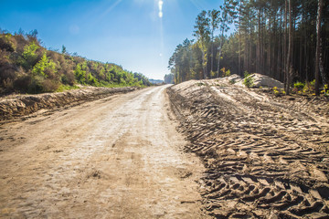 A road at a construction site of a new road being build across a forest