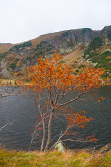 Karkonosze mountains