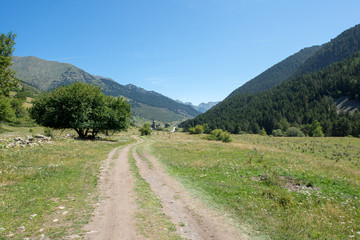 Naklejka na ściany i meble Road to Montgarri through the mountain of Aran Valley