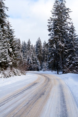 Obraz na płótnie Canvas road in winter forest