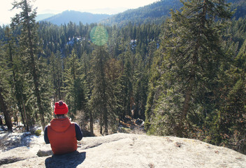 Man sitting on a rock with pine forest peaks in front of him on a beautiful sunny day in National...
