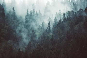 Glasschilderij Chocoladebruin Misty landscape with fir forest in hipster vintage retro style