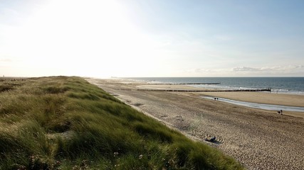 Dünenlandschaft am Meer in Zeeland, Niederlande