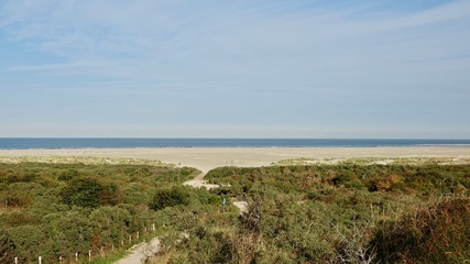Dünenlandschaft am Meer in Zeeland, Niederlande