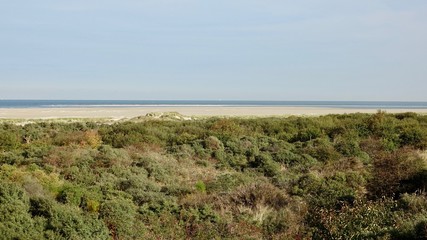 Fototapeta premium Dünenlandschaft am Meer in Zeeland, Niederlande