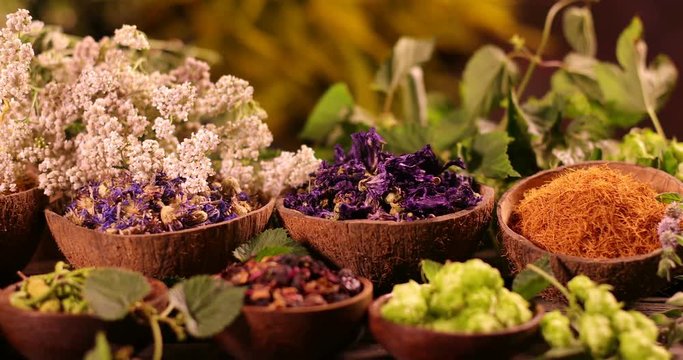 Natural medicine, herbs
