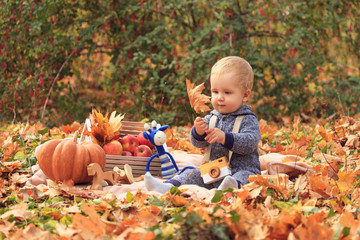 A little boy with a photo camera and a leaf on a picnic in the autumn forest, a child is playing with wooden toys among the yellow foliage. Autumn family picnic with pumpkin, crate of apples and cones