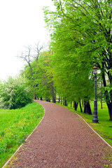 Fototapeta premium path in the park