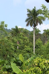 Cuba Pinar del Rio