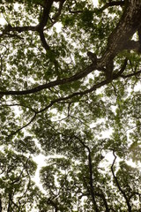 Obraz premium textura 1