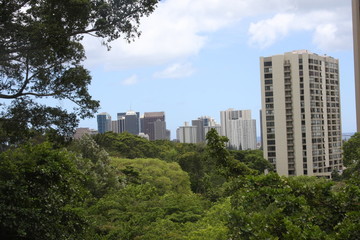 Obraz na płótnie Canvas Oahu Skyline