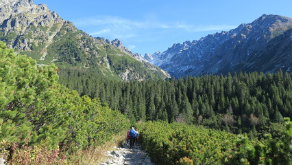 Poprad pleso and Tatra peaks visible from the back. A popular place from which many tourists embark on high mountains. Beautiful nature, blue sky and unparalleled peaks.