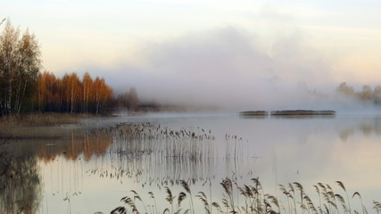 Сиреневый туман на озере на рассвете в мае - obrazy, fototapety, plakaty