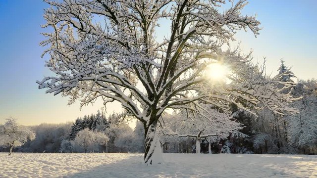 Idyllic rural winter footage