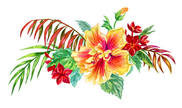 Bouquet of tropical flowers of hibiscus and frangipani and palm leaves, watercolor illustration on a white background, isolated.