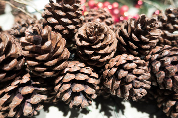  Pine Cone. Christmas Decorations 