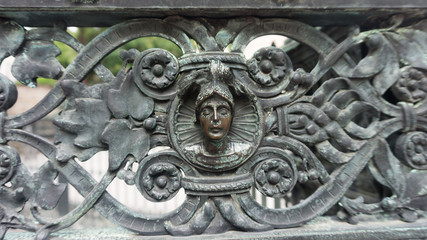 detail of an old hedge