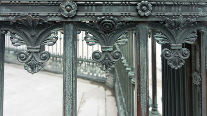 detail of an old hedge