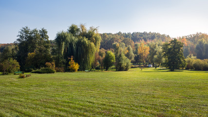 Beautiful Sunny landscape with large lawn in early autumn.
