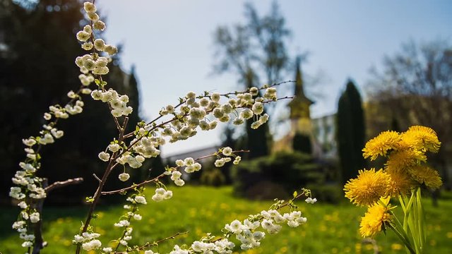 Romanian traditional church. Springtime. 
Magic Lantern Raw Video