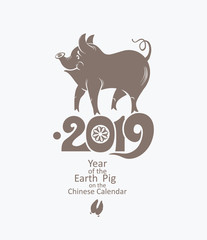 Obraz premium Year of the Pig. 2019. Flat vector template for the New Year's design. Pig - symbol of 2019 on the Chinese calendar.