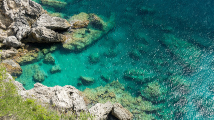 sea coast with green water