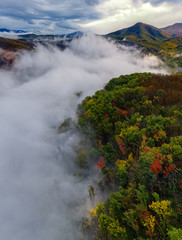 smoky mountains int he fall