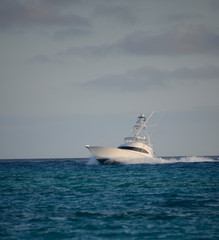 Fototapeta premium Deep sea fishing