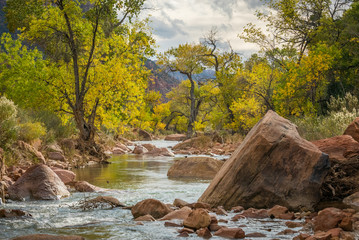 Large stones among water flow. The Virgin River flowing through Zion National Park, Utah, USA