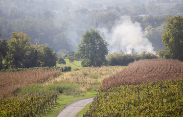 Modern agriculture and industry concepts