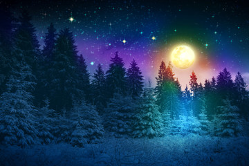 Winter landscape with snow covered fir trees and full moon.