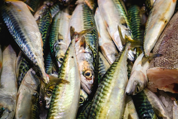 Marché aux poissons Noirmoutier