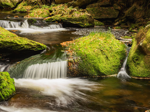 Hamersky stream at Sumava in the fall. Autumn colors on Hamersky creek. Sumava Southern Bohemia. Colorful autumn on Sumava. Bavarian Forest. Czech Republic