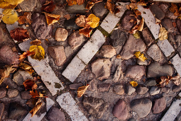 Beautiful background with autumn foliage. Foliage on the old pavement. Abstract background.